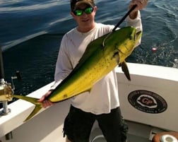 Mahi Mahi Fishing in Freeport, New York, USA