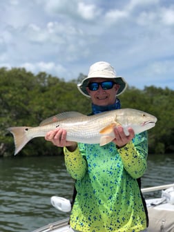 Redfish Fishing in Tarpon Springs, Florida