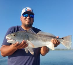 Redfish fishing in Charleston, South Carolina, USA