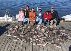 Redfish, Sheepshead Fishing in Sulphur, Louisiana