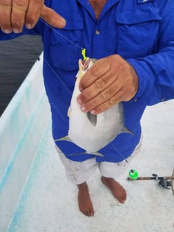 Florida Pompano, Speckled Trout Fishing in Crystal River, Florida