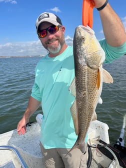 Redfish Fishing in Galveston, Texas