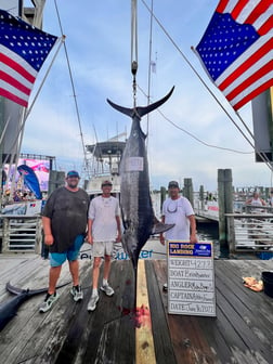 Black Marlin fishing in Beaufort, North Carolina