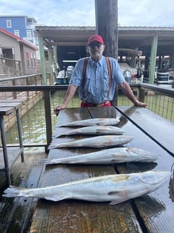 Speckled Trout / Spotted Seatrout fishing in Galveston, Texas