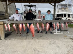 Red Snapper Fishing in South Padre Island, Texas