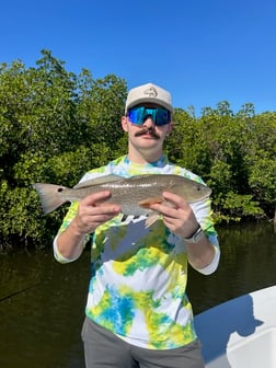 Fishing in Tampa, Florida