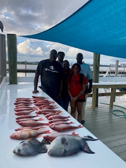 Triggerfish, Vermillion Snapper Fishing in Orange Beach, Alabama