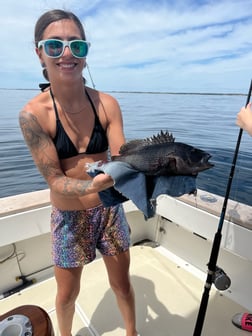 Black Seabass, Fluke fishing in Montauk, New York