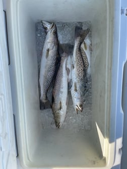 Fishing in Galveston, Texas