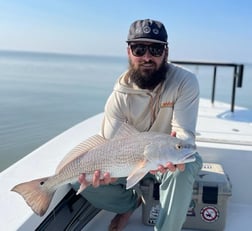 Redfish Fishing in New Smyrna Beach, Florida