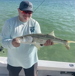 Fishing in Tampa, Florida