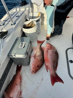 Fishing in Santa Rosa Beach, Florida