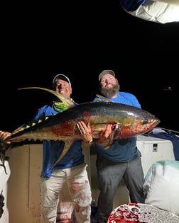 King Mackerel / Kingfish Fishing in Destin, Florida