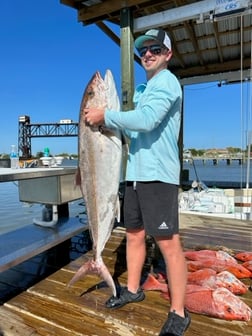 Amberjack, Kingfish, Red Snapper Fishing in Freeport, Texas