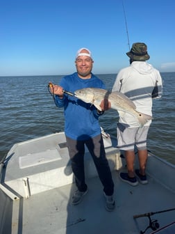 Black Drum, Sheepshead Fishing in Palacios, Texas