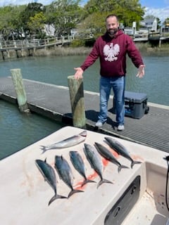 Bonito Fishing in Beaufort, North Carolina