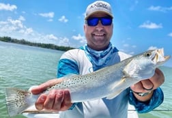 Speckled Trout / Spotted Seatrout fishing in Tavernier, Florida