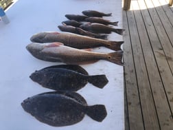 Flounder, Redfish fishing in Pensacola, Florida