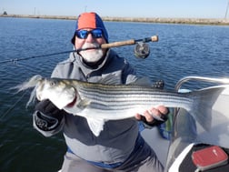 Striped Bass Fishing in Stockton, California