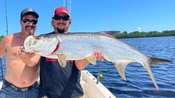 Tarpon Fishing in Carolina, Carolina