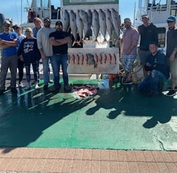 Fishing in Destin, Florida