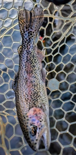 Fishing in Broken Bow, Oklahoma