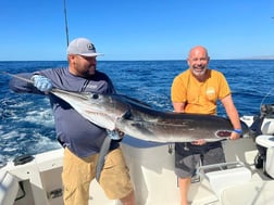 Sailfish Fishing in Cabo San Lucas, Baja California Sur