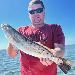 Lane Snapper Fishing in Cape Coral, Florida