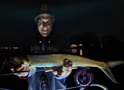 Snook Fishing in Jupiter, Florida