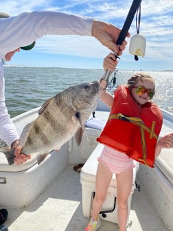 Black Drum Fishing in Orange Beach, Alabama