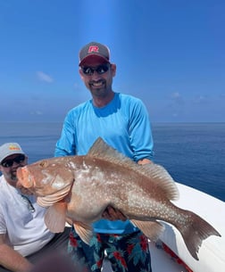 Red Grouper Fishing in Cape Coral, Florida