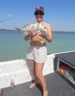 Black Drum, Redfish Fishing in Port Isabel, Texas