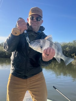 Fishing in New Smyrna Beach, Florida