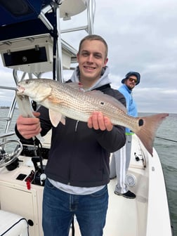 Fishing in Sarasota, Florida