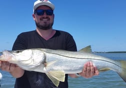 Redfish Fishing in Clearwater, Florida