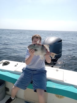 Black Seabass Fishing in St. Marys, Georgia