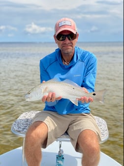 Redfish fishing in Tallahassee, Florida