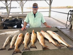 Black Drum, Redfish, Sheepshead Fishing in Matagorda, Texas