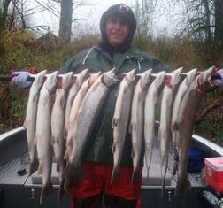 Chinook Salmon Fishing in Toledo, Washington