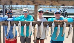 Redfish fishing in Ingleside, Texas