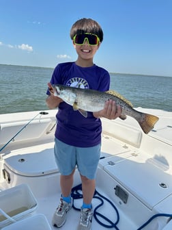 Fishing in New Orleans, Louisiana