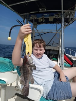 Black Seabass Fishing in St. Marys, Georgia