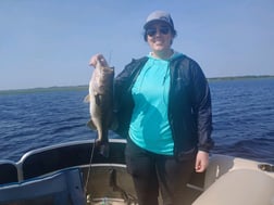 Largemouth Bass Fishing in Kissimmee, Florida