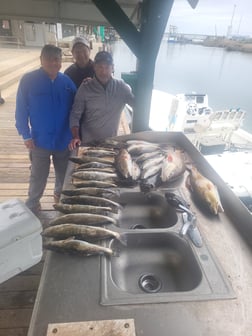 Fishing in Sulphur, Louisiana