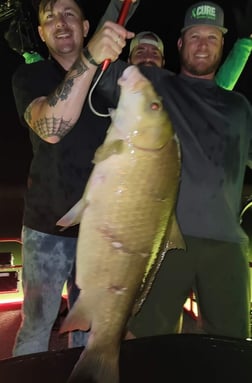 Garfish fishing in Waco, Texas