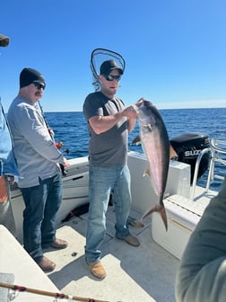 Fishing in Panama City Beach, Florida