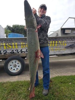 Alligator Gar Fishing in Livingston, Texas