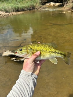 Fishing in Granbury, Texas