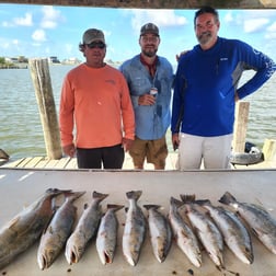 Speckled Trout / Spotted Seatrout fishing in Tiki Island, Texas