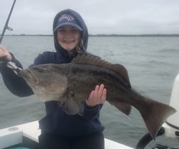 Gag Grouper, Speckled Trout / Spotted Seatrout Fishing in Bradenton, Florida